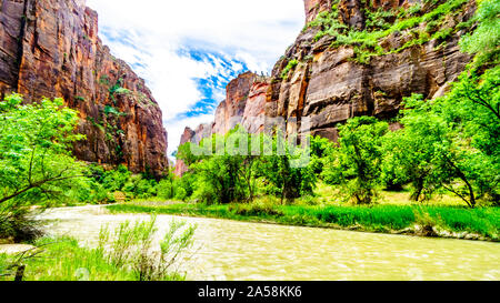 Des Virgin River bei Geheimnis Canyon und der verengt, wie es seinen Weg durch den Sandstein Berge von Zion National Park geschnitzt Stockfoto