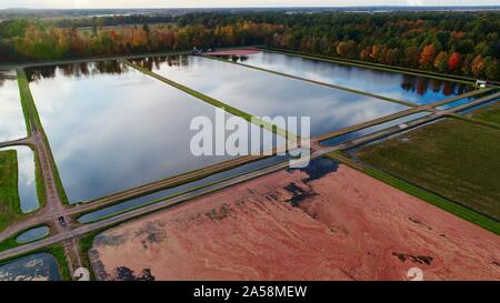 Luftaufnahme von Red cranberries Floating in einem überschwemmten cranberry Marsh bei Sonnenuntergang im Herbst auf einem Bauernhof außerhalb Wisconsin Rapids, Wisconsin, USA Stockfoto