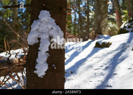 Schnee Pfeil nach vorn auf einem Baumstamm, im Winter. Stockfoto