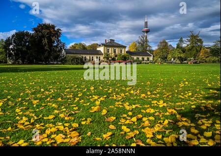 Berlin, Deutschland. Okt, 2019 18. Foto am Okt. 18, 2019 zeigt die Herbst Landschaft der Palmengarten in Frankfurt, Deutschland, am Okt. 18, 2019 übernommen. Credit: Lian Zhen/Xinhua/Alamy leben Nachrichten Stockfoto