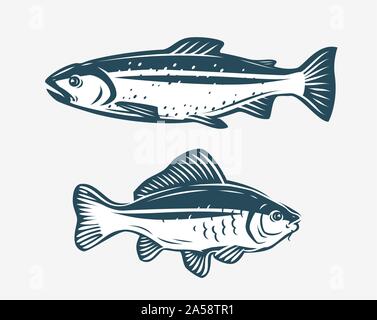 Fische wie Forelle und Karpfen. Fischereikonzept. Vektorgrafik Stock Vektor