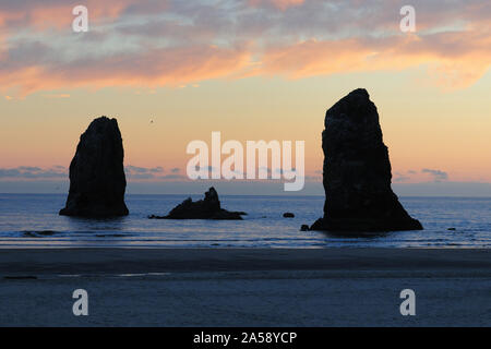 Haystack Rock Marine Garten bei Dämmerung Cannon Beach Oregon USA Stockfoto