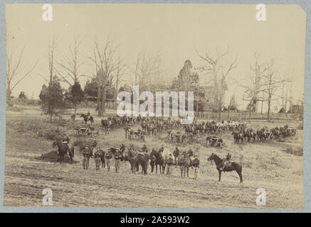 Union Artillerie mit Pferden und Kanonen posing Stockfoto