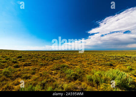 Büro des Land-Managements, Wild Horse Range, Rock Springs Wyoming Stockfoto