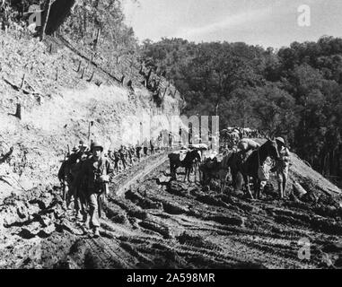 Die amerikanischen Truppen von Merrill's Marauders und der Chinesischen März Seite an Seite durch die ledo Road 2/15/1944 Stockfoto