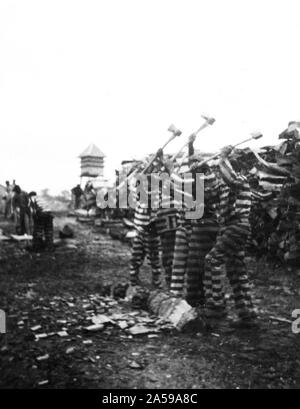 Afrikanische amerikanische Sträflinge arbeiten mit Achsen, Wachturm im Hintergrund, Reed Camp, South Carolina Ca. 1934 Stockfoto