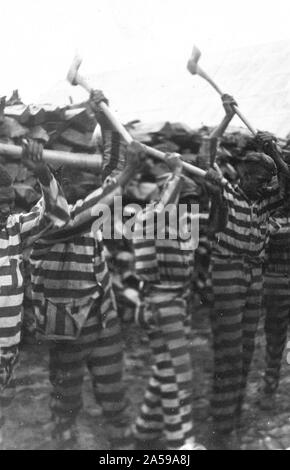 Afrikanische amerikanische Sträflinge arbeiten mit Achsen und Gesang in Holzplatz, Reed Camp, South Carolina Ca. 1934 Stockfoto