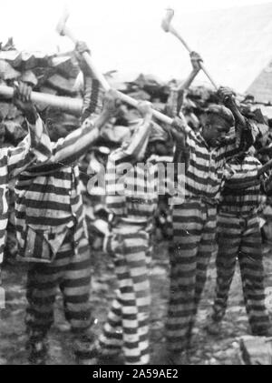 Afrikanische amerikanische Sträflinge arbeiten mit Achsen und Gesang in Holzplatz, Reed Camp, South Carolina Ca. 1934 Stockfoto