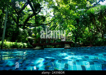 Tropischen Pool und den Dschungel. Dieses Foto wurde während in Central Vietnam Reisen, Herbst 2019. Stockfoto