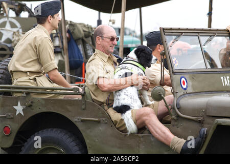 English Springer Spaniel Bombe Spürhunde entspannen in einer Armee Jeep mit seinem Handler Stockfoto