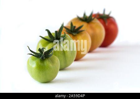 Tomaten wachsen Fortschritt zeigt auf weißem Hintergrund. Gesundheit Konzept Stockfoto