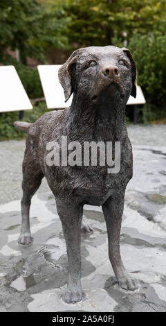 Labrador lebensgroße Bronzestatue in St John's Neufundland Stockfoto