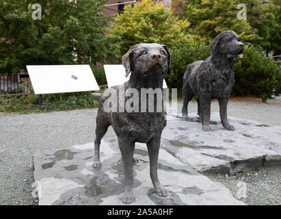 Neufundland und Labrador lebensgroße Bronzestatue in St John's Neufundland Stockfoto