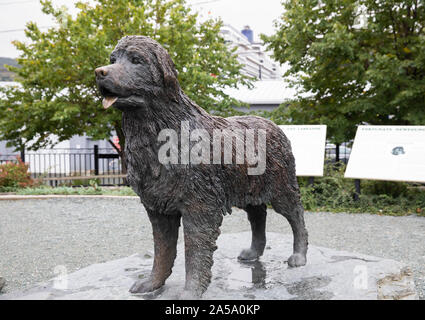 Neufundland lebensgroße Bronzestatue in St John's Neufundland Stockfoto