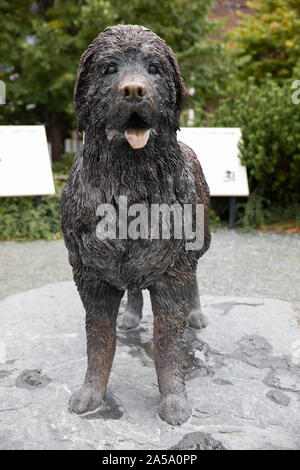 Neufundland lebensgroße Bronzestatue in St John's Neufundland Stockfoto