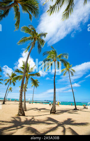 Palmen und einen sonnigen Tag auf kahanamoku Beach, Oahu, Hawaii. Stockfoto