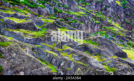 Grauer Stein mit Moos Textur Hintergrund. Nahaufnahme des Rock mit Moos bewachsen. Selektive konzentrieren. Stockfoto