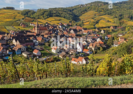 Das Dorf Riquewihr in seinen Weinbergen Landschaft Stockfoto