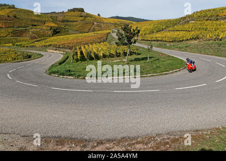 TURKHEIM, Frankreich, 12. Oktober 2019: Auf den Straßen der Weinstraße des Elsass, durch eine Landschaft der Weinberge. Stockfoto