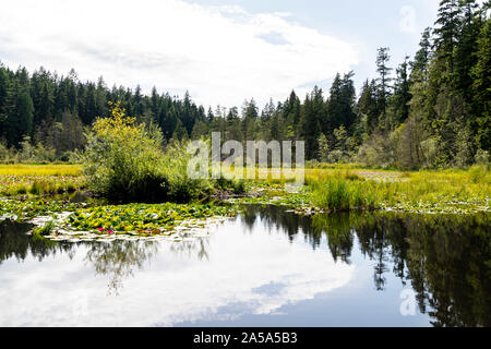 Stadt Vancouver, China Town und Stanley Island Stockfoto