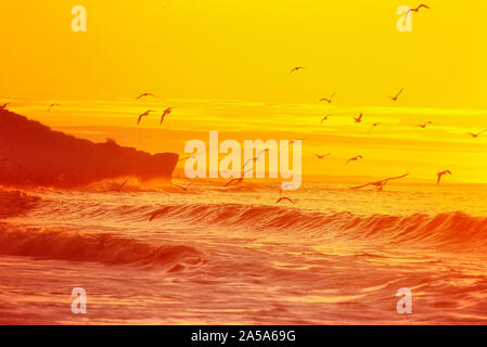 Praia da Oura Strand, Algarve, Portugal Stockfoto