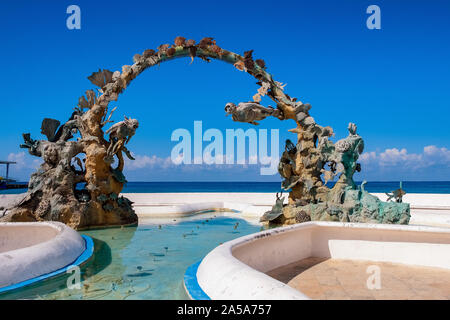 Diver's Arch Denkmal, Cozumel, Mexiko Stockfoto