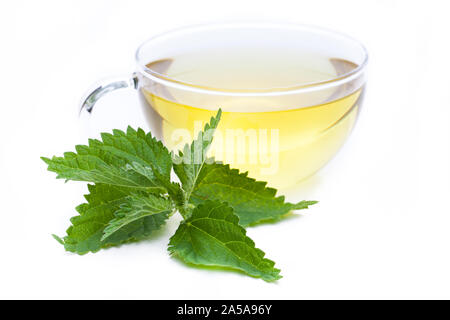 Heilende Pflanzen: (Urtica dioica) - brennnessel Tee Stockfoto