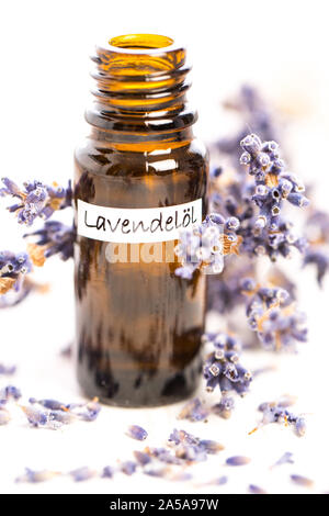 Heilende Pflanzen: Lavendel ätherisches Öl in der Flasche mit Lavendelblüten Stockfoto