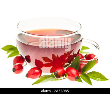 Heilende Pflanzen: Hagebutte Tee im Glas Tasse frische Hagebutten auf weißem Hintergrund Stockfoto