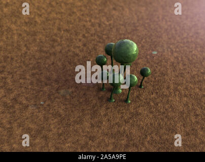 Pilz wachsen, das Wachstum der Pilze, Viren und Bakterien, Myzel unter Mikroskop, Gruppe von Pilzen, Kolonie von Pilz Stockfoto