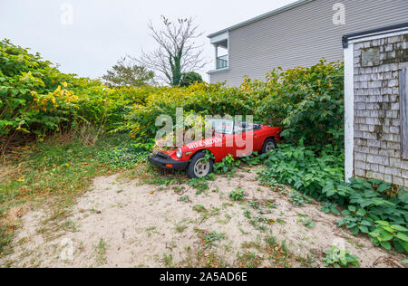 Verfallene vintage MG Auto mit Pflanzen aus dem Motor am Strand ein Strand art Gallery in Provincetown (P-Town), Cape Cod, MA, USA Stockfoto