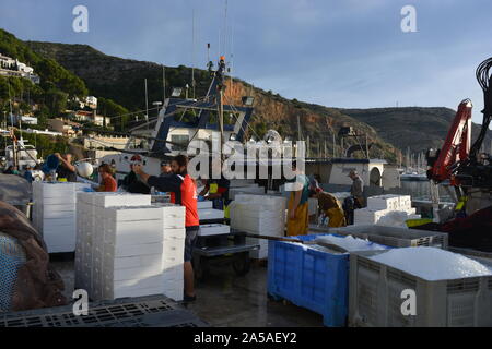 Boxen von fangfrischen Sardinen und Eis entladen von einem Fischtrawler, mit Fischern in ölzeug auf dem Boot im Hintergrund, Javea, Spanien Stockfoto