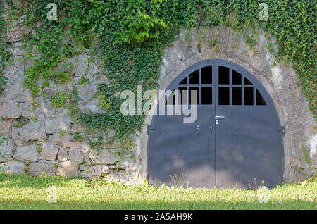 Eingang zu einem Tunnel auf einem Efeu bedeckten Wand eines alten Gebäudes Stockfoto