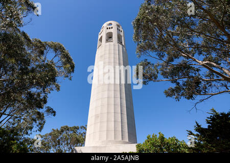 Coit Tower und die umliegenden Bäume auf Telegraph Hill, San Francisco. Stockfoto