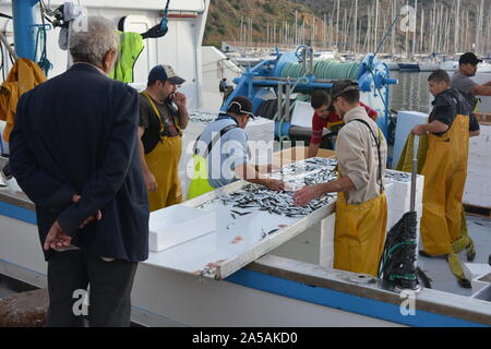 Ältere Menschen beobachten Fischer Sortierung Fang von frischen Fisch an Bord der Fischkutter am Kai Stockfoto