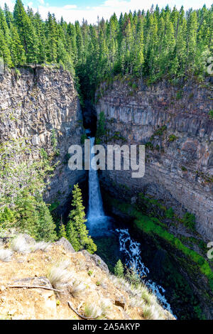 Reisen durch Wells Gray Provincial Park Kanada Stockfoto