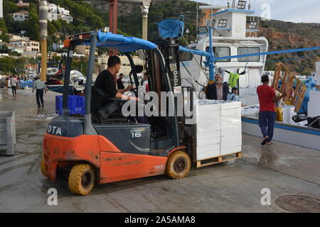 Mann, der Gabelstapler, Entladen der Fang von Boxed Sardinen aus Fischerboot am Kai, Javea, Alicante, Spanien Stockfoto