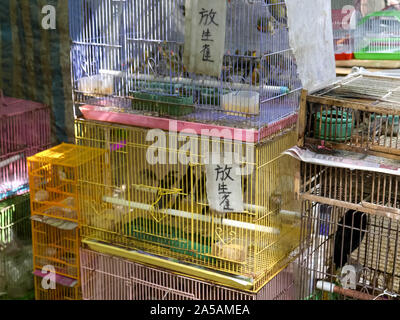 Mehrere Käfige in mongkok Vogel Markt in Hongkong Stockfoto