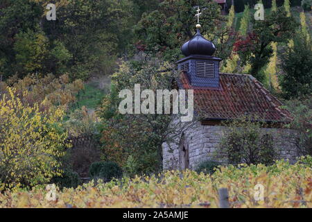 Herbst im Weinberg Stockfoto