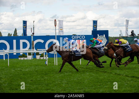 QIPCO britische Champions Day, Ascot Racecourse, Ascot, Berkshire, Großbritannien. 19. Oktober, 2019. Jockey Silvestre De Sousa gewinnt den QIPCO britische Champions Sprint Stakes (Klasse 1) (Gruppe 1) auf Pferd Donjuan Triumphierende (IRE). Eigentümer King Power Racing Co Ltd. Trainer Andrew Balding, Kingsclere. Credit: Maureen McLean/Alamy leben Nachrichten Stockfoto