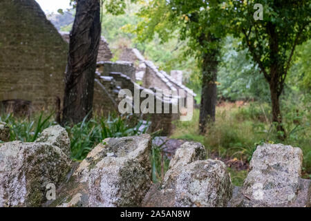 Verfallene Hütten an Tyneham Dorf in der Nähe von Wareham, Dorset, Großbritannien. Das Dorf wurde während des Zweiten Weltkrieges aufgegeben. Stockfoto