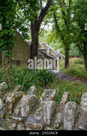 Verfallene Hütten an Tyneham Dorf in der Nähe von Wareham, Dorset, Großbritannien. Das Dorf wurde während des Zweiten Weltkrieges aufgegeben. Stockfoto