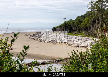 National park Olympic Gabeln und zweiten Strand La Push Stockfoto