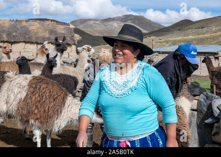 Frau mit Lamas in der Cordillera, Bolivien Stockfoto