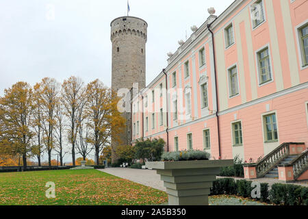 Pikk Hermann oder Hoch Hermann, Turm der Burg, auf dem Domberg Toompea Hügel in Tallinn, der Hauptstadt Estlands, baltischen Staat, Europa Stockfoto