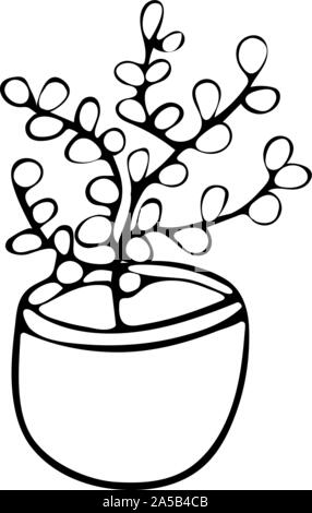 Money Tree, Crassula im Topf doodle Style schwarz und weiß. Abbildung gezeichnet Stock Vektor