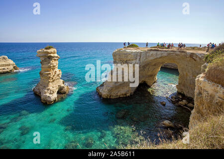 Torre Sant'Andrea, Naturparadies von Sant'Andrea, Lecce, Apulien, Italien Stockfoto