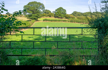 Eine ungewöhnliche Vintage 5-bar-Metal Gate an der Seite des "alten Toll Road', Egton Bridge, North Yorkshire, Großbritannien Stockfoto