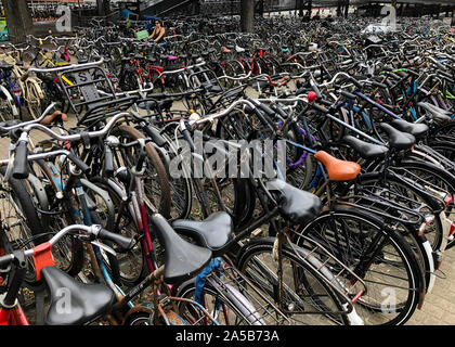 Amsterdam, Niederlande - 21 May 2019: Tausende von bicylces sind in langen Reihen von fahrradständer vor Amsterdam Centraal Station geparkt. Stockfoto