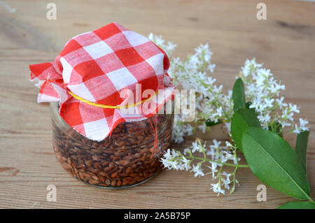 Flachssamen in einem Glasbecher auf Holzgrund Stockfoto
